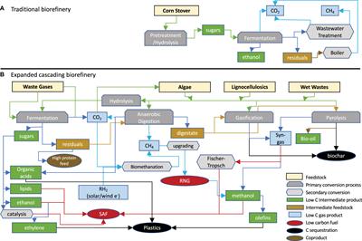 Perspectives on biorefineries in microbial production of fuels and chemicals